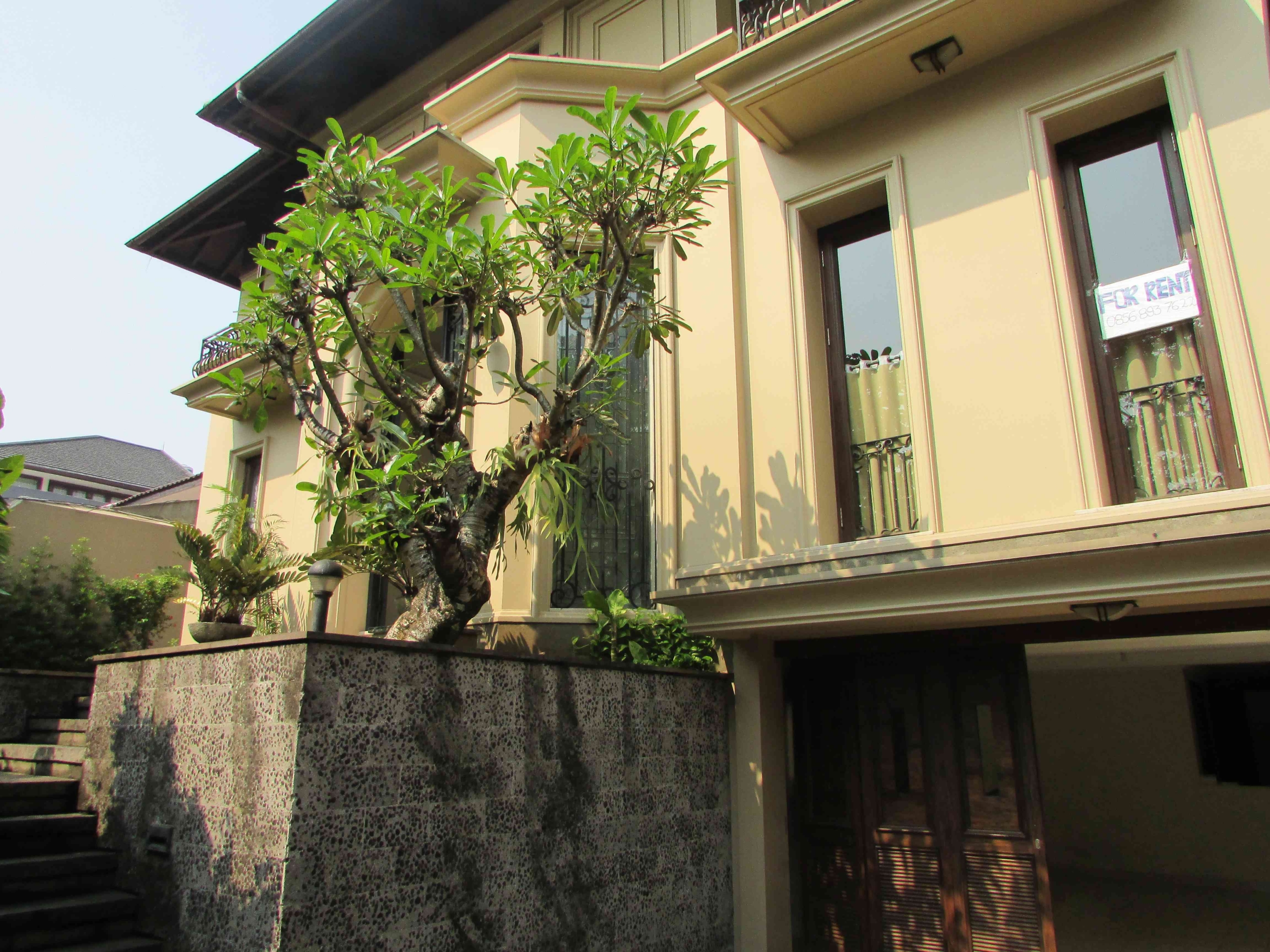 c792a387-6d8b-4e55-bde2-df31b4e717a8